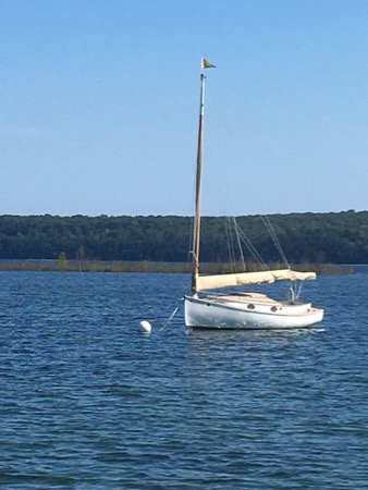 sailboat moored in bay.